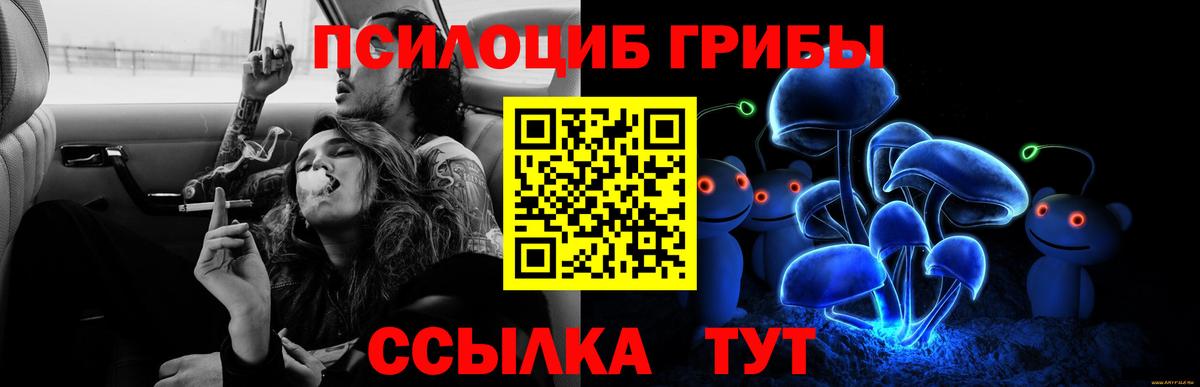 Галлюциногенные грибы Psilocybine cubensis  Галлюциногенные грибы Psilocybine cubensis  Вход с VPN  купить   Мытищи 